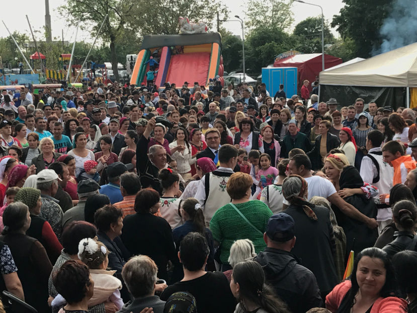  - Sarbatoarea salcamului Liesti 2017