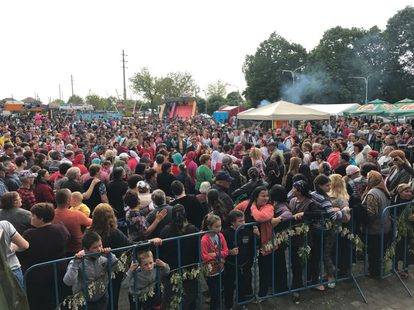  - Sarbatoarea salcamului Liesti 2017