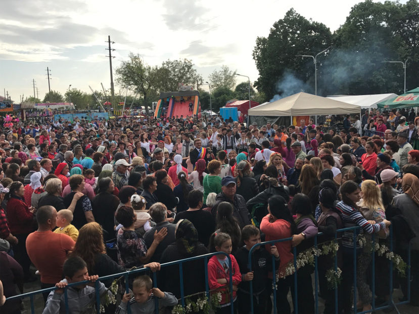  - Sarbatoarea salcamului Liesti 2017