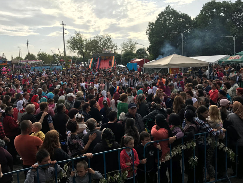  - Sarbatoarea salcamului Liesti 2017