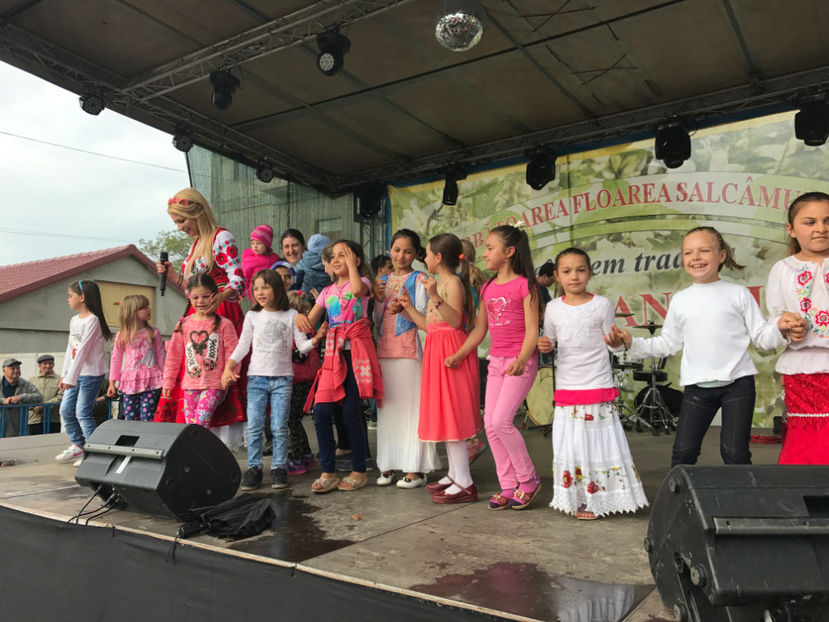  - Sarbatoarea salcamului Liesti 2017