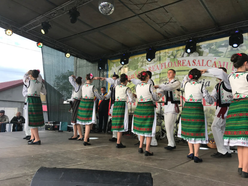  - Sarbatoarea salcamului Liesti 2017