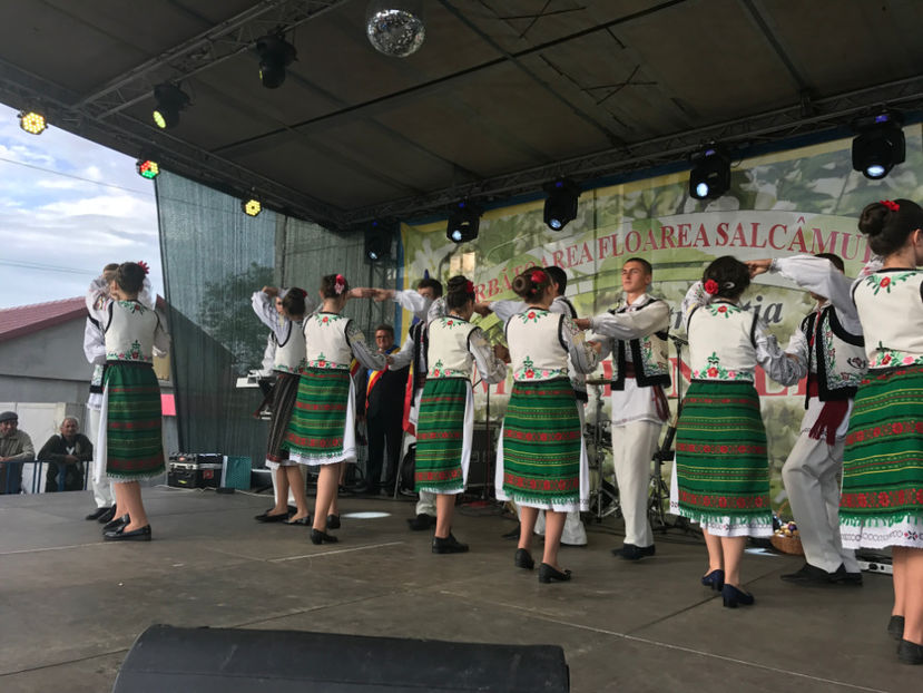  - Sarbatoarea salcamului Liesti 2017