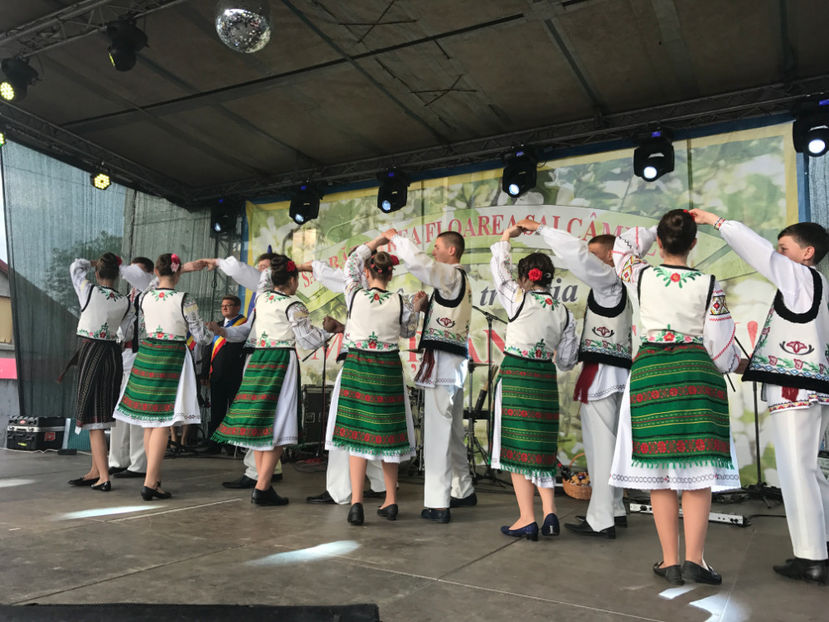  - Sarbatoarea salcamului Liesti 2017