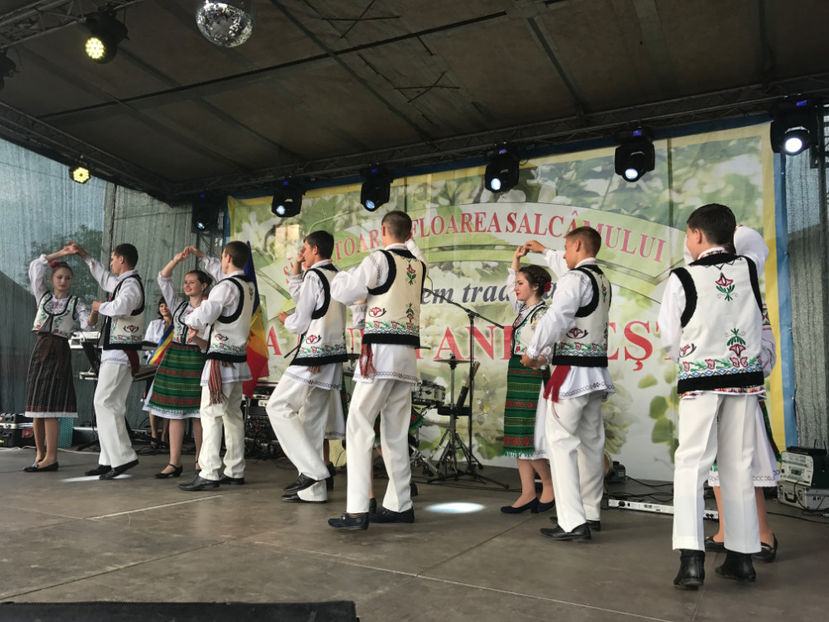  - Sarbatoarea salcamului Liesti 2017