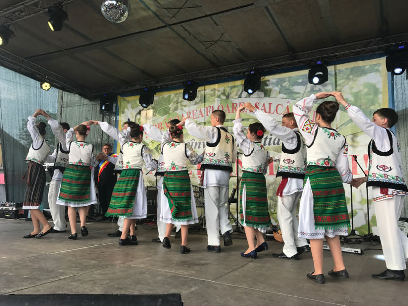  - Sarbatoarea salcamului Liesti 2017