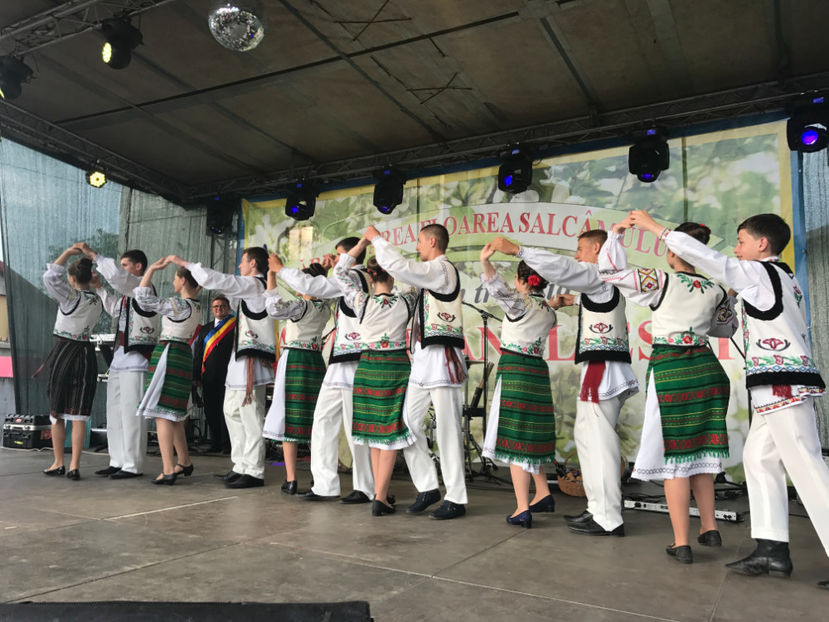  - Sarbatoarea salcamului Liesti 2017