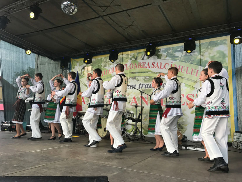  - Sarbatoarea salcamului Liesti 2017