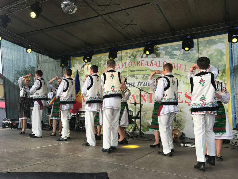  - Sarbatoarea salcamului Liesti 2017