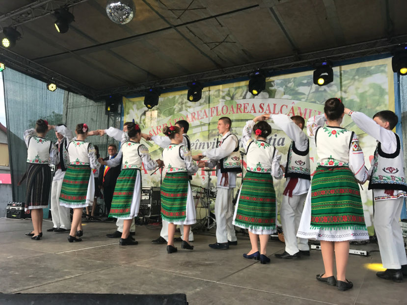  - Sarbatoarea salcamului Liesti 2017