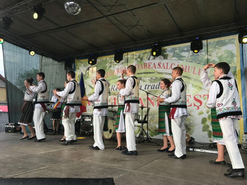  - Sarbatoarea salcamului Liesti 2017