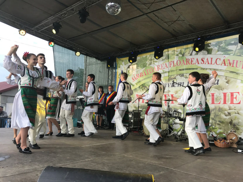  - Sarbatoarea salcamului Liesti 2017