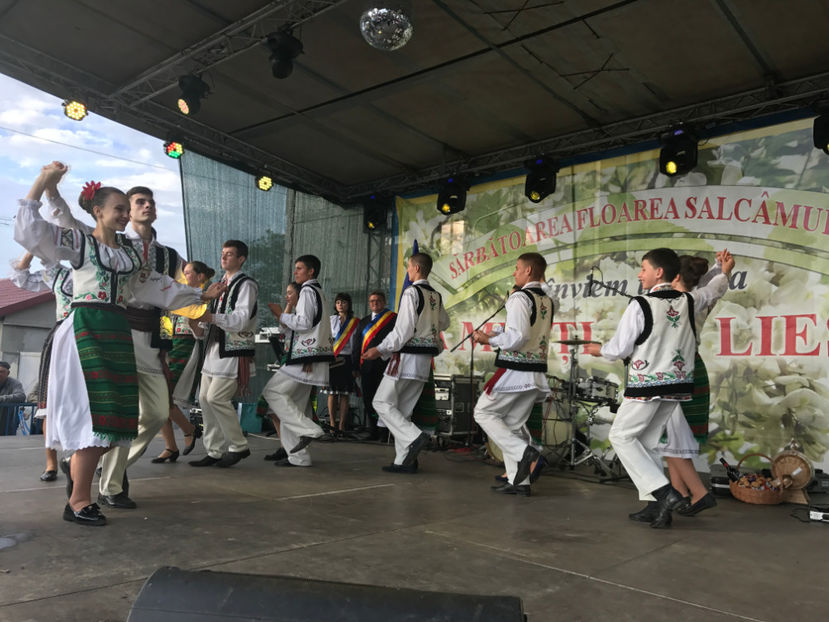  - Sarbatoarea salcamului Liesti 2017