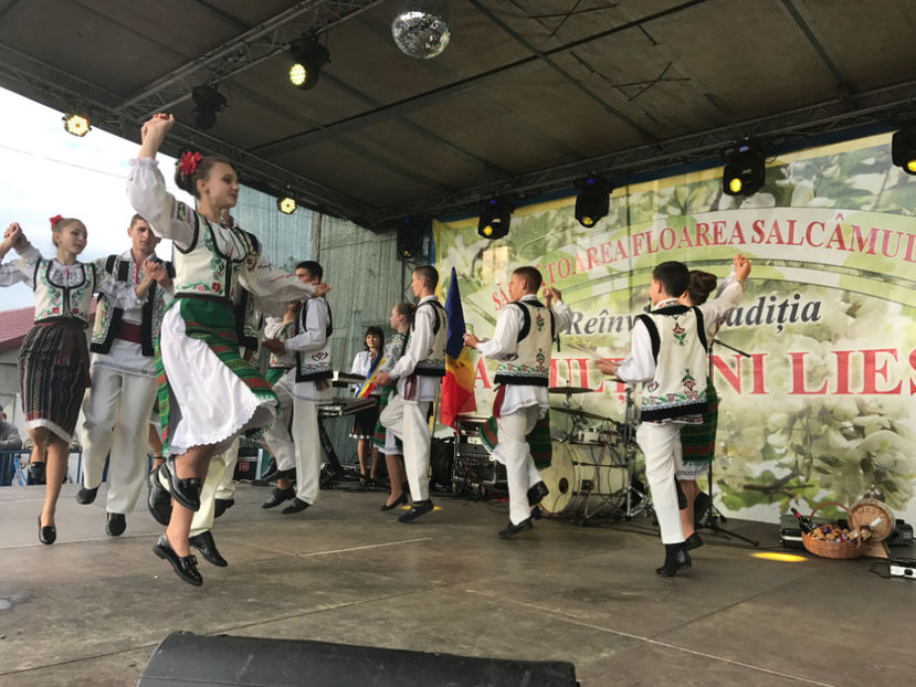  - Sarbatoarea salcamului Liesti 2017