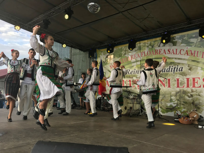  - Sarbatoarea salcamului Liesti 2017