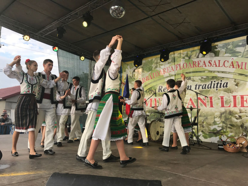  - Sarbatoarea salcamului Liesti 2017