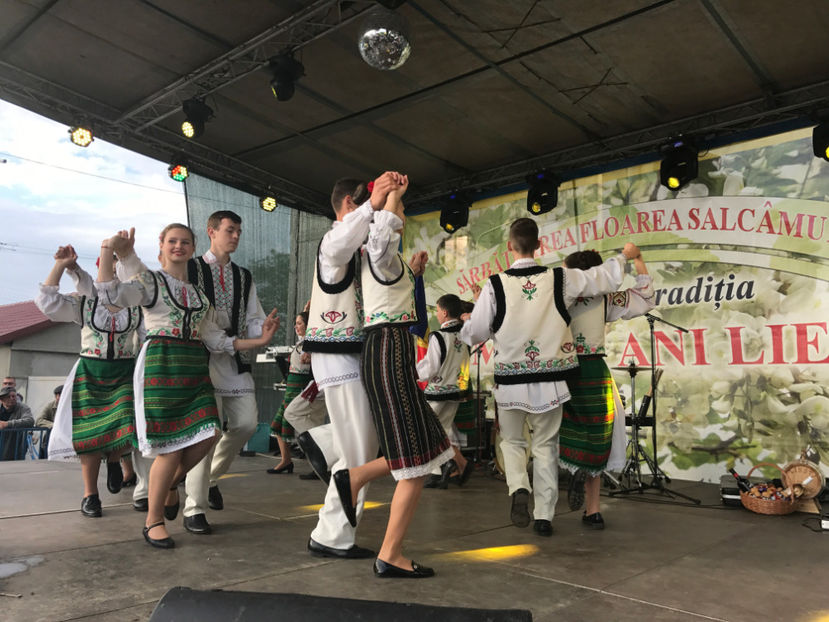  - Sarbatoarea salcamului Liesti 2017