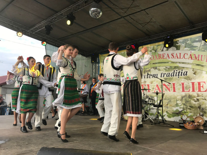  - Sarbatoarea salcamului Liesti 2017