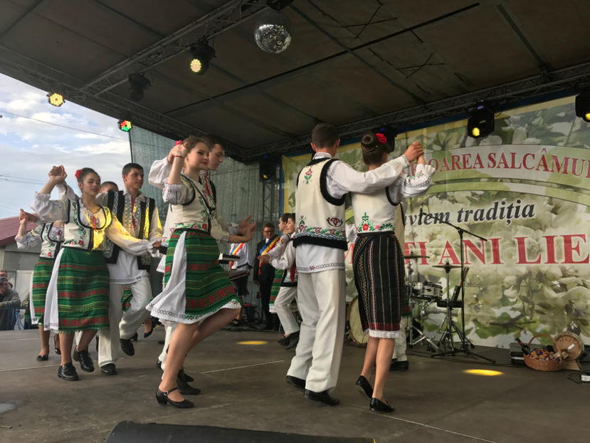  - Sarbatoarea salcamului Liesti 2017