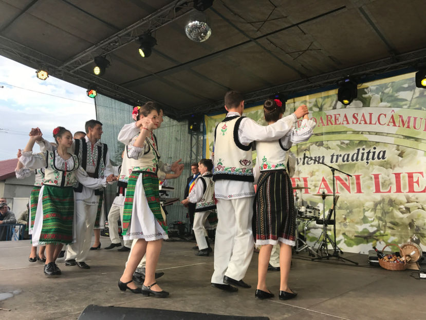  - Sarbatoarea salcamului Liesti 2017