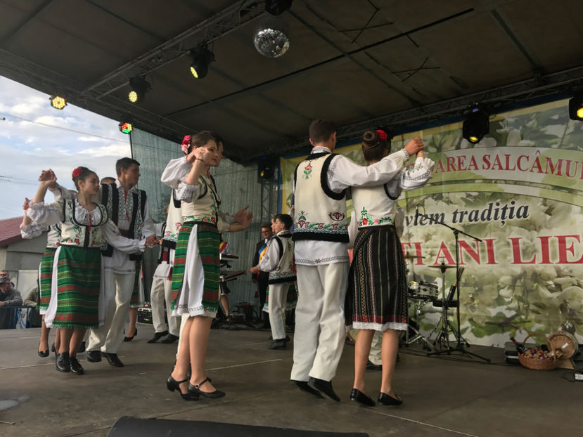  - Sarbatoarea salcamului Liesti 2017