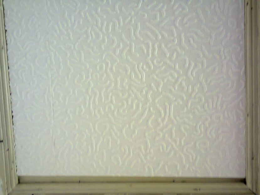 Tavanul fals din polistiren - 2017 RENOVARE CABANA DE LA GRADINA 2 - 17 mai