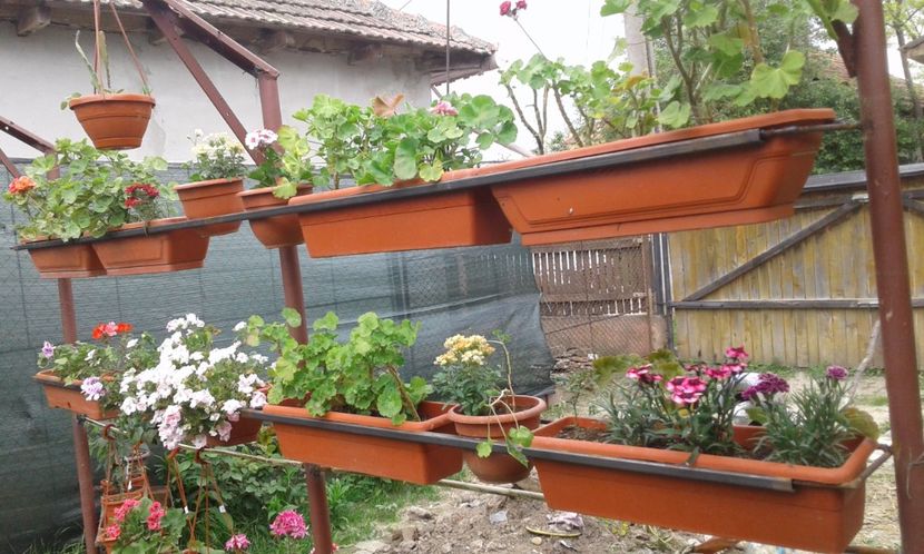 1495020360175-140799575 - 2017