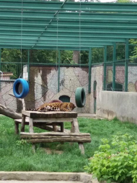  - Grădina zoologică Craiova