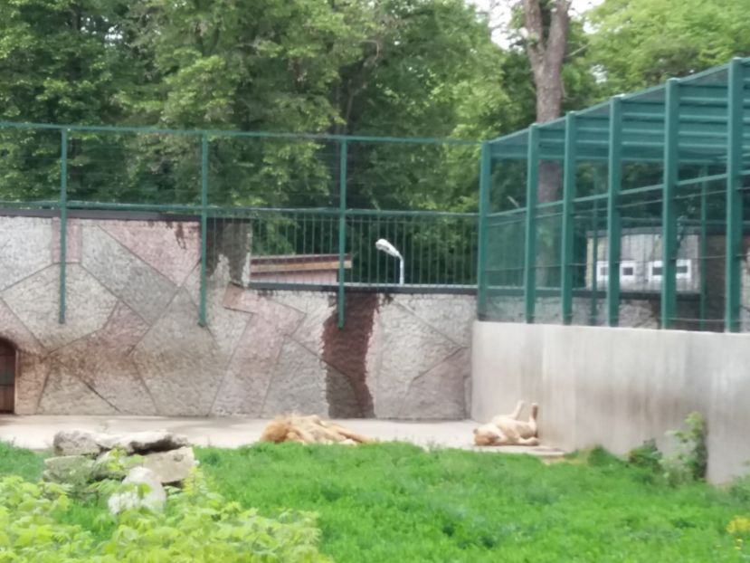  - Grădina zoologică Craiova