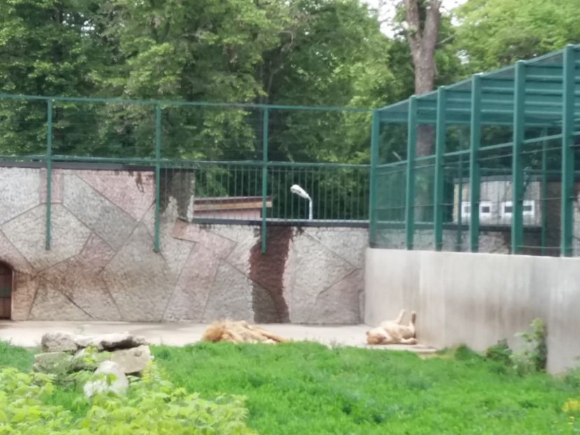  - Grădina zoologică Craiova