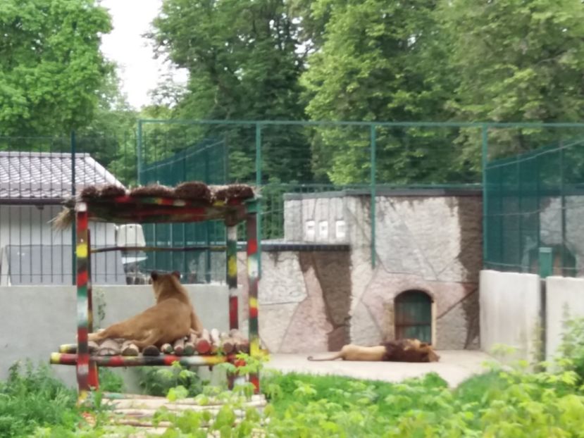  - Grădina zoologică Craiova