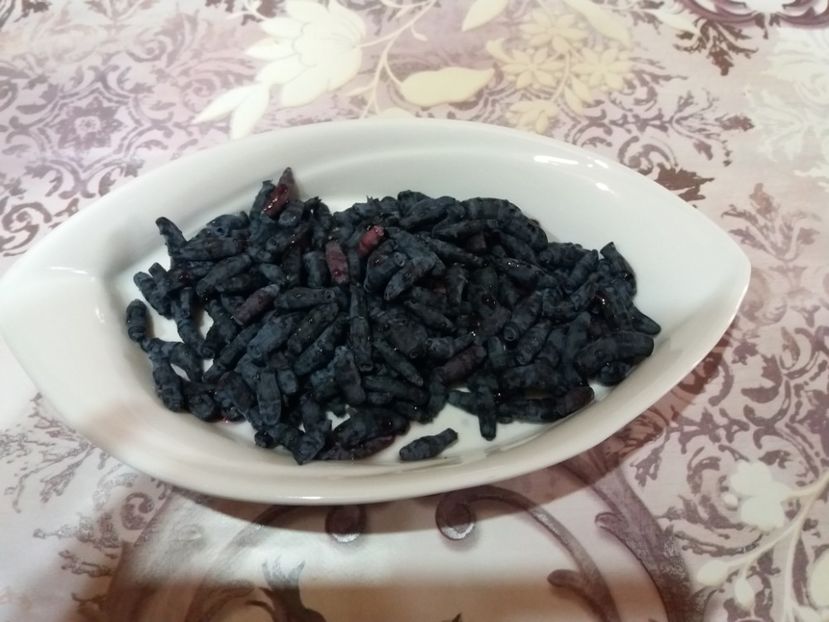  - Afin de Siberia-STARKL