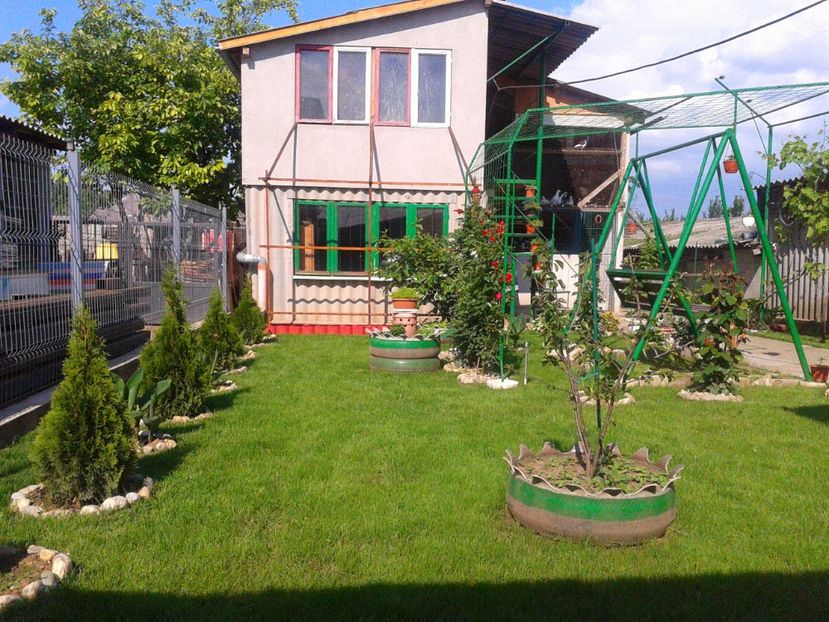Fotografie-1431 - Gradina mea