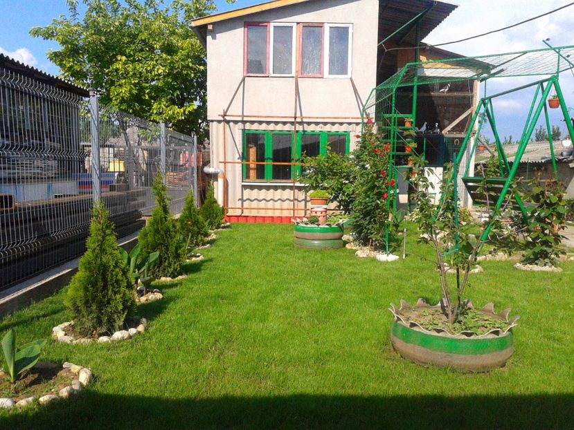 Fotografie-1432 - Gradina mea