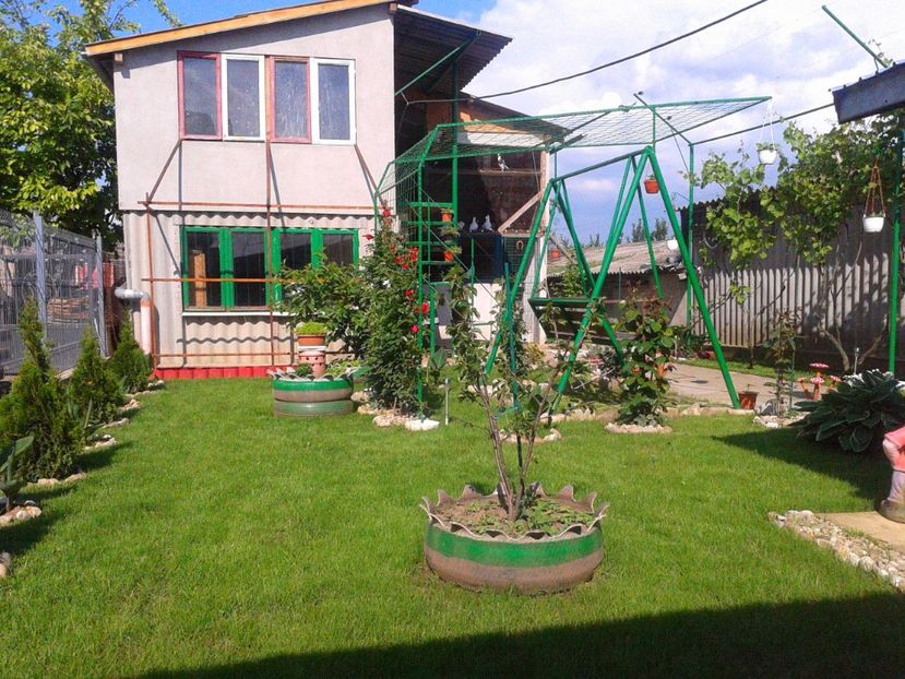 Fotografie-1433 - Gradina mea