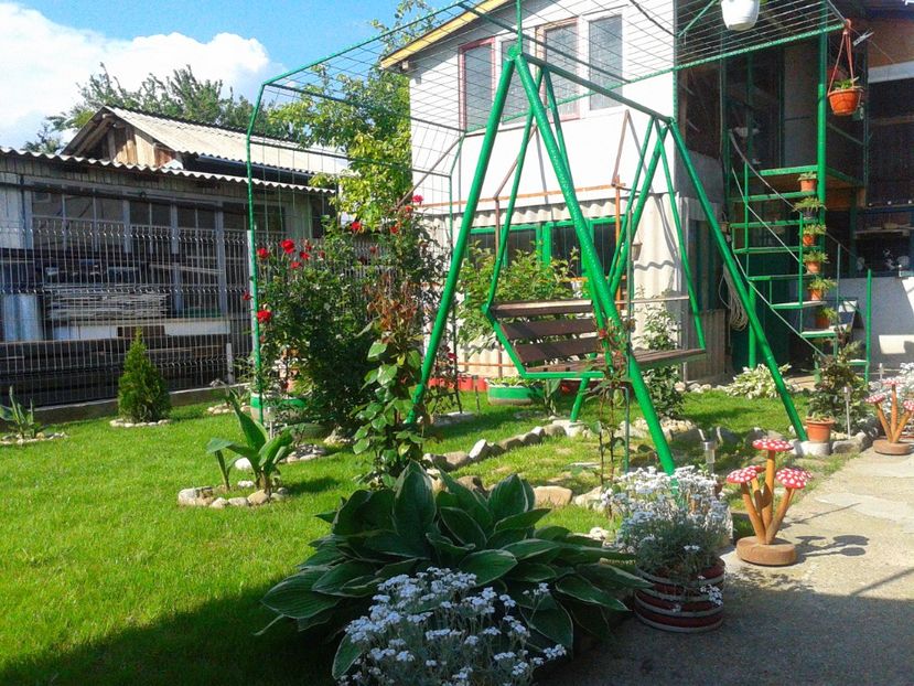 Fotografie-1434 - Gradina mea