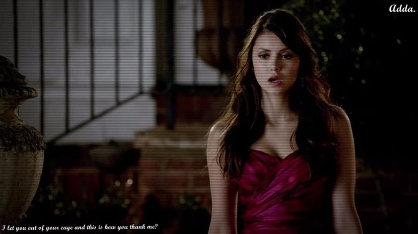 - *ia ea microfonul* Continuati petrecerea, va vom servi cu alt desert imediat...*lasa microfonul - xo - Episode 02