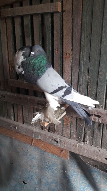  - DE VANZARE 2017 MAI