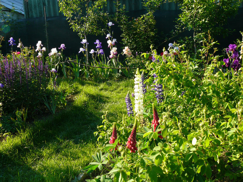 P1280374 - 2017 Mai_Idilic Garden