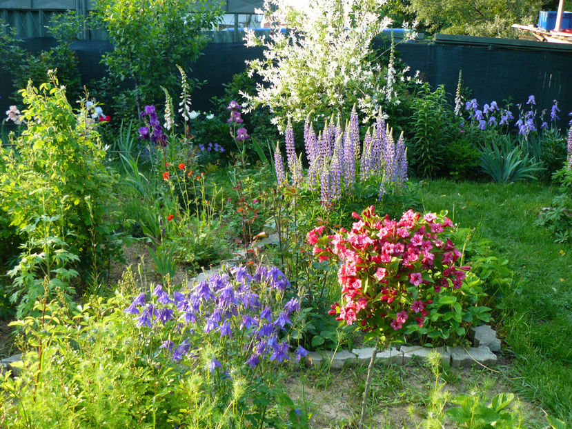 View 18mai - 2017 Mai_Idilic Garden