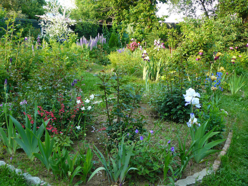 18mai - 2017 Mai_Idilic Garden