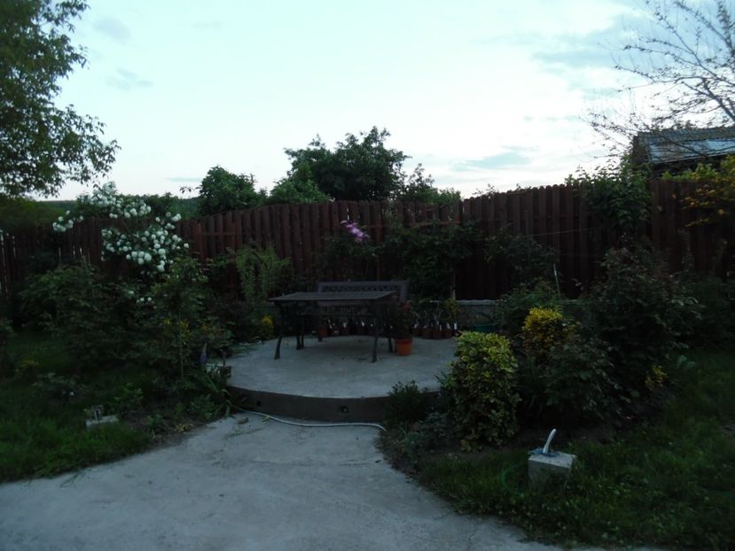  - 000 Mai in gradina