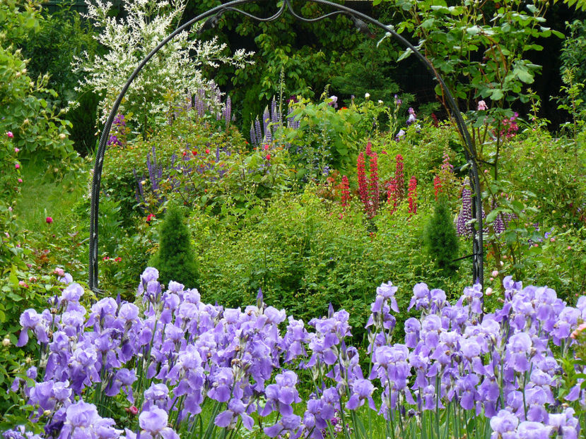 19Mai - 2017 Mai_Idilic Garden