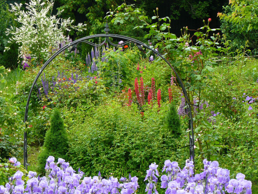 P1280452 - 2017 Mai_Idilic Garden