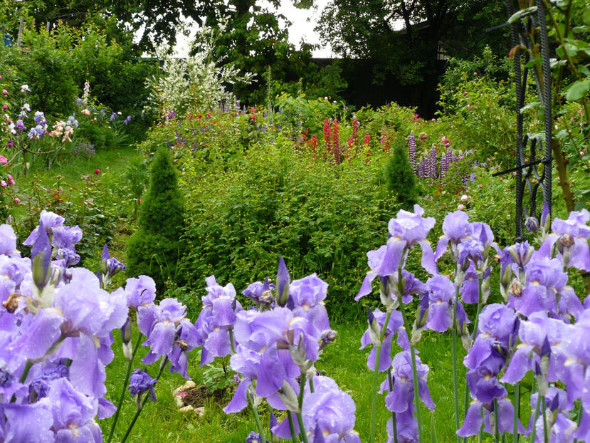 P1280457 - 2017 Mai_Idilic Garden