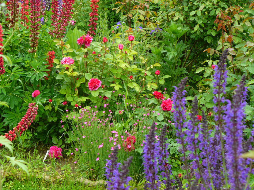 P1280474 - 2017 Mai_Idilic Garden