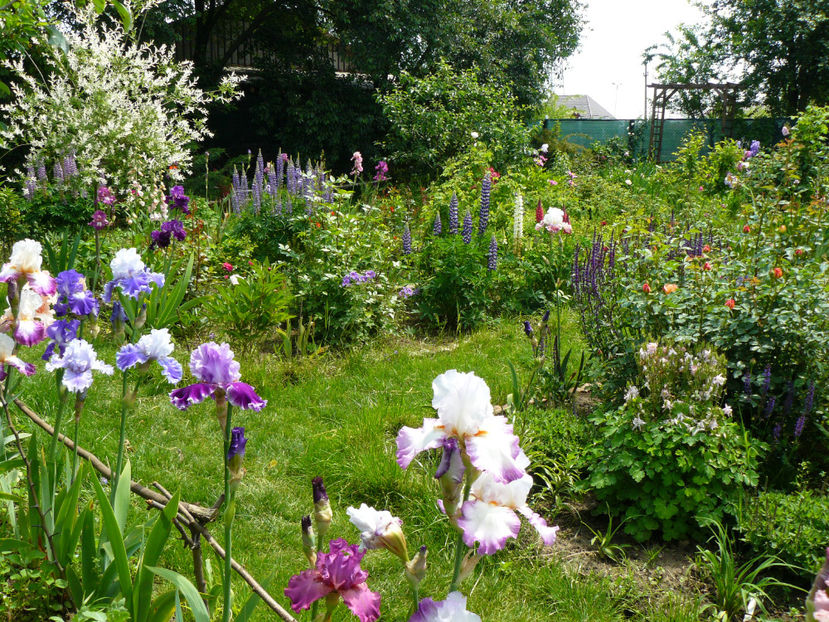 P1280498 - 2017 Mai_Idilic Garden