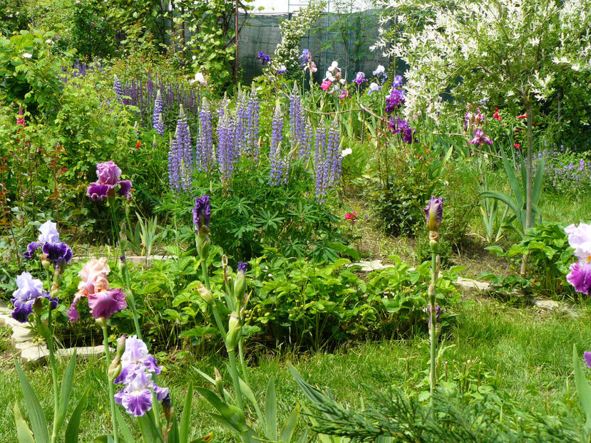 Strictly jaz,Sweet Musette,Fluterina,Fancy dress - 2017 Mai_Idilic Garden