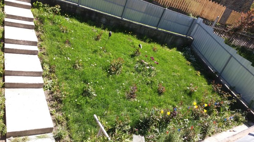  - 000000000000001   GRADINA MEA