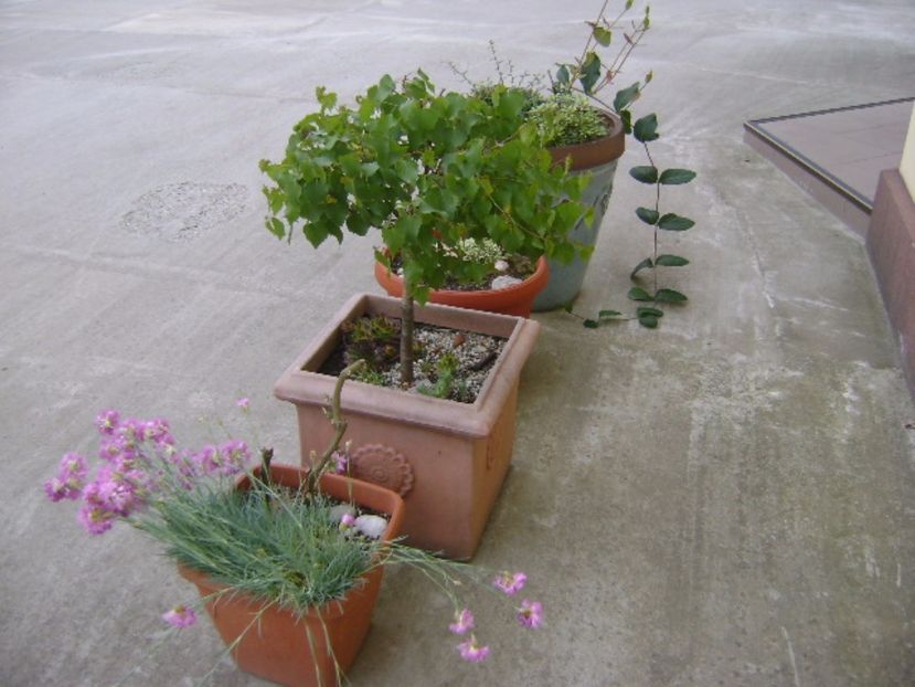 Forme si culori la mijloc de mai - Primavara 2017 bis